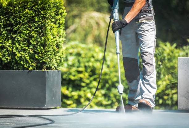 Best Sidewalk and Walkway Cleaning  in Murrysville, PA