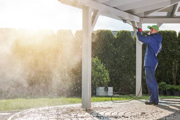 Best Solar Panel Cleaning  in Murrysville, PA